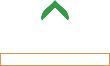 Ace and Sons logo